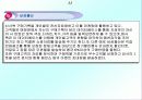 기업전략의 성공사례 13페이지