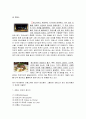 (세계의 음식문화) 2002년 월드컵 참가국들의 음식문화 탐구 11페이지