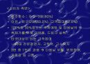 마케팅 불변의 법칙에 대하여. 12페이지