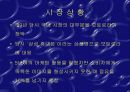 마케팅 불변의 법칙에 대하여. 17페이지