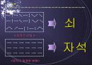 리더십의 본질 및 행동,특성,상황이론 46페이지