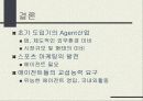[스포츠 마케팅] 스포츠 에이전트 30페이지