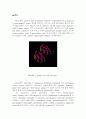 GM-CSF Signaling Pathways and Anti-apoptotic Activ 1페이지