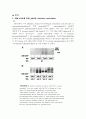 GM-CSF Signaling Pathways and Anti-apoptotic Activ 4페이지