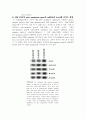 GM-CSF Signaling Pathways and Anti-apoptotic Activ 12페이지