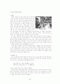[유학사상] 단오의 현대적 의의와 발전방향 5페이지