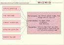 위즈위드 ( WIZWID.com ) 사례분석 9페이지