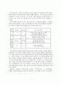 BSC 도입을 통한 공정한 평가관리 시스템 구축 5페이지
