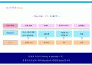 [마케팅전략] SkyLife 100만 유지 마케팅 전략 52페이지