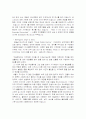 스카이락의 마케팅믹스 13페이지