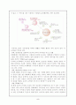 (마케팅전략) 마케팅성공사례와 마케팅실패사례 (닷컵기업분석) 6페이지
