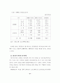 [인터넷광고] 인터넷 광고의 전략 및 효과에 관한 사례분석 연구 32페이지