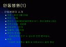 (병원산업) 안동병원의 성공요인분석 (의료산업,병원마케팅) 13페이지