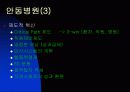 (병원산업) 안동병원의 성공요인분석 (의료산업,병원마케팅) 15페이지