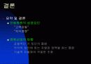 (병원산업) 안동병원의 성공요인분석 (의료산업,병원마케팅) 17페이지