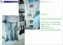 패션디스플레이 캐주얼웨어와 스포츠웨어 차이 27페이지
