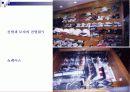 패션디스플레이 캐주얼웨어와 스포츠웨어 차이 43페이지