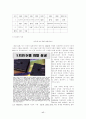 기업과 환경 17페이지