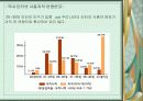 인터넷 마케팅을 이용한 판매촉진전략(항공사사례를 중심으로) 4페이지