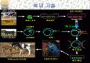 인간복제 찬반논쟁에 대해서(복제인간,생명복제,생명공학) 10페이지