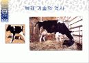 인간복제 찬반논쟁에 대해서(복제인간,생명복제,생명공학) 14페이지