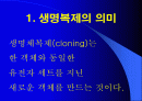 인간복제에 대해서 (복제인간,생명복제,생명공학) 2페이지