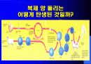 인간복제에 대해서 (복제인간,생명복제,생명공학) 5페이지