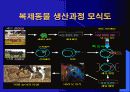 인간복제에 대해서 (복제인간,생명복제,생명공학) 7페이지