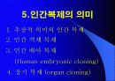 인간복제에 대해서 (복제인간,생명복제,생명공학) 13페이지