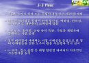 아침햇살 마케팅전략 13페이지