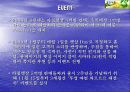 아침햇살 마케팅전략 16페이지
