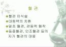 인공혈관 3페이지