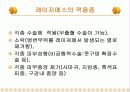 레이저 메스 12페이지