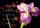 허브(프리젠테이션) 2페이지