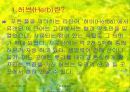 허브(프리젠테이션) 3페이지