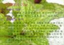 허브(프리젠테이션) 5페이지
