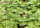 허브(프리젠테이션) 6페이지