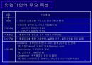 Amazon.com의 위기 극복과 생존 전략 12페이지