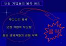 Amazon.com의 위기 극복과 생존 전략 13페이지