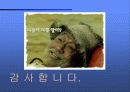 [마케팅]롯데리아 광고분석 23페이지