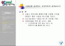 성공하는 웹사이트에 대하여... 13페이지