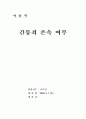 [여성학] 간통죄 폐지 여부 검토 및 대안제시 10페이지