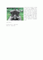 쌍봉사(雙峰寺)에 관한 모든 것... 5페이지