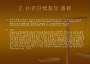 비만 단백질 4페이지