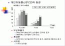 예정된 실패 “시티폰”사업 6페이지