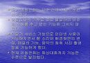 핸드폰 기능 발달과 그 영향 9페이지