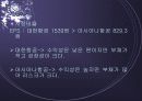 대한항공 재무재표 분석 28페이지