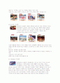 에버랜드 연구 및 발전 방향 7페이지