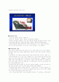 골다공증 ( osteoporosis ) 3페이지