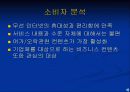 [판매촉진]네이트 온 분석 9페이지